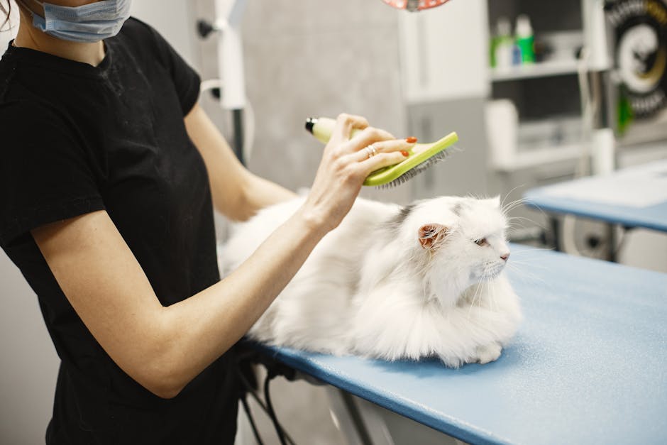 What We Look for in a Body Groomer