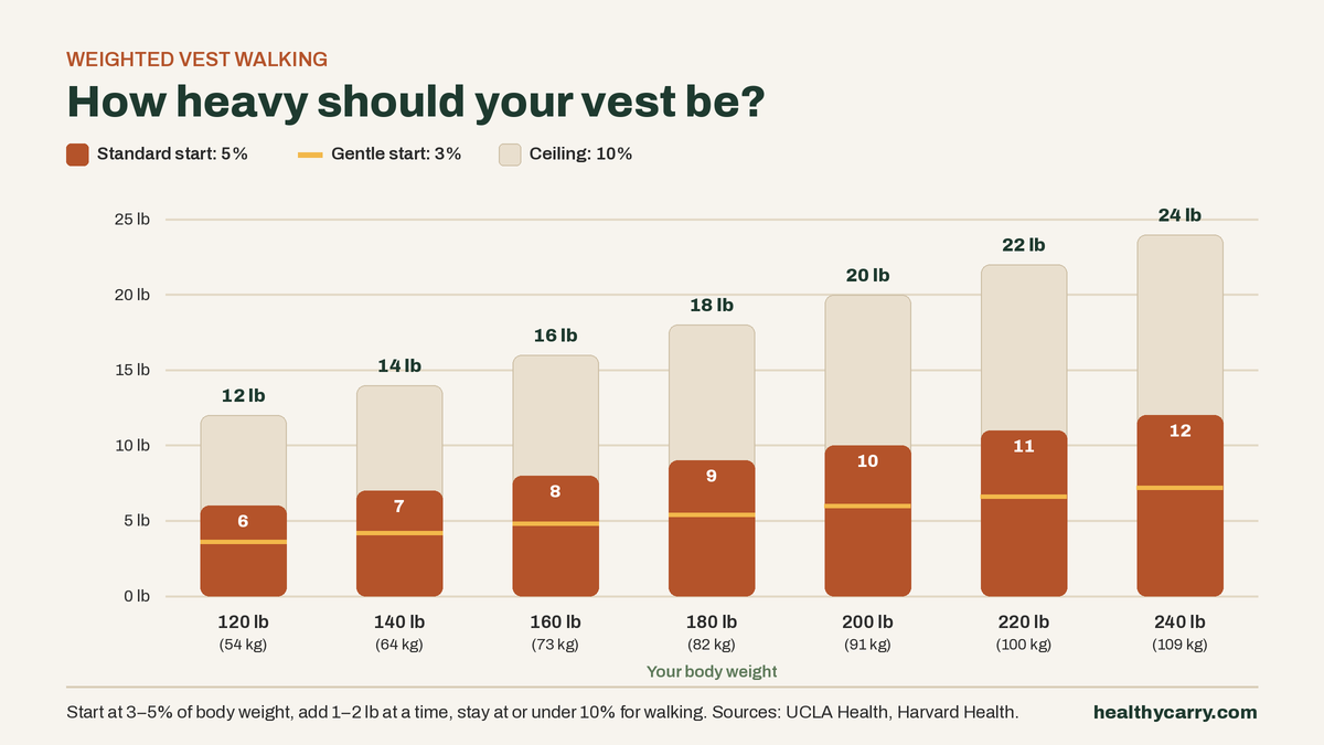 Bar chart of recommended weighted vest weight by body weight from 120 to 240 lb: a 5% standard start (6 to 12 lb), a 3% gentle start line, and a 10% walking ceiling (12 to 24 lb).